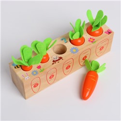 Развивающий набор «Посади разные морковки» 20 × 5,5 × 5 см