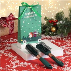 Подарочный набор «ДЕД НА МАШИНЕ», 2 предмета: брашинг, массажная расчёска, цвет зелёный