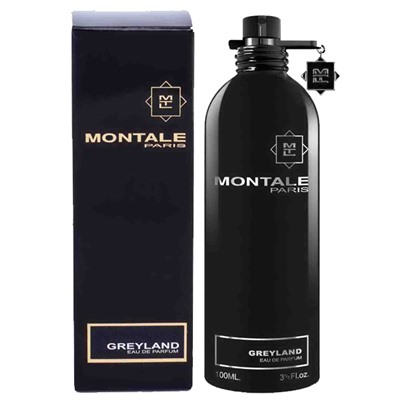 Montale Greyland edp 100 ml