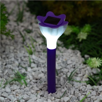 Садовый светильник на солнечной батарее Purple crocus, серия Classic