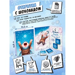 Открытка, ПОЙМАЙ СНЕЖИНКУ, молочный шоколад, 20 гр., TM Chokocat