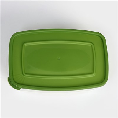 Набор контейнеров пищевых Доляна, 3 шт: 1 л, 18,5×12×7 см, прямоугольные, цвет зелёный