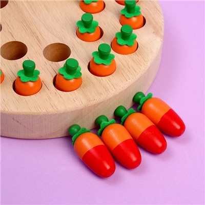 Развивающий набор по методике Монтессори «Цветные морковки» 19 × 19 × 2,8 см