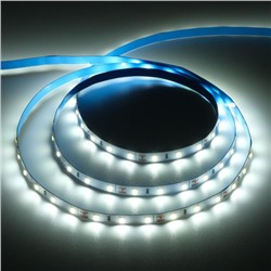 Светодиодная лента Ecola PRO, 12В, SMD5060, 5 м, IP20, 11Вт/м, 60 LED/м, 6000К