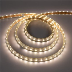 Светодиодная лента Ecola, 220В, SMD5050, 50 м, IP68, 14.4Вт/м, 60 LED/м, 14x7 мм, 4200К