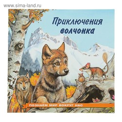 «Приключения волчонка», Гурина И. В.