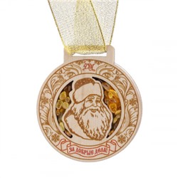 Медаль от Деда Мороза. За Добрые дела!