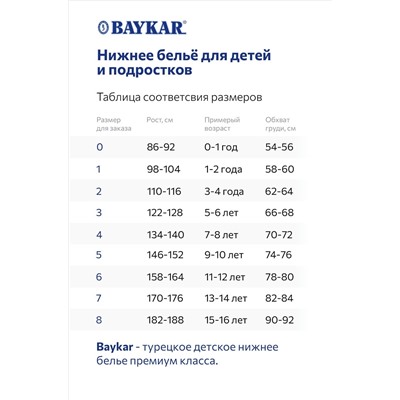 Футболка для мальчика Baykar