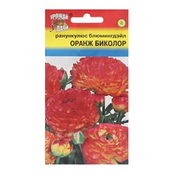 Семена цветов Ранункулюс  "Оранж Биколор Блюмингдэйл", 0,01 г
