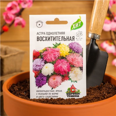 Семена цветов Астра "Восхитительная", смесь, О, 0,3 г   серия ХИТ х3