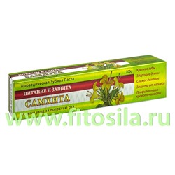 Зубная паста аюрведическая  Питание и защита 100гр Самхита