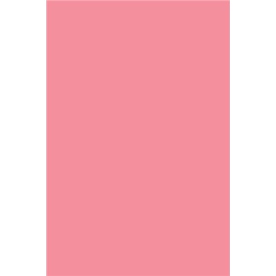 Пододеяльник миниевро (200х217 см) поплин "Аристократ - 10" (розовый) (однотонный)