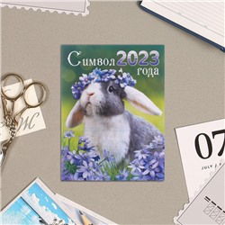 Календарь отрывной на магните "Символ 2023 Года!" 13х9,5см, кролик, цветы