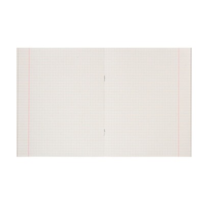 Тетрадь 48 листов, в клетку, "Граффити", обложка мелованная бумага, блок типографская бумага