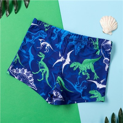 Плавки купальные для мальчика KAFTAN "Динозавры" рост 98-104 (30), цвет синий