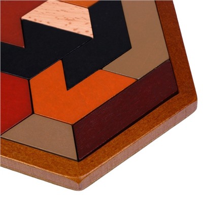 Головоломка «Танграм в форме многоугольника» 12 × 12 × 1 см