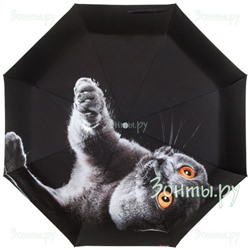 Зонт "Британский кот" RainLab 087