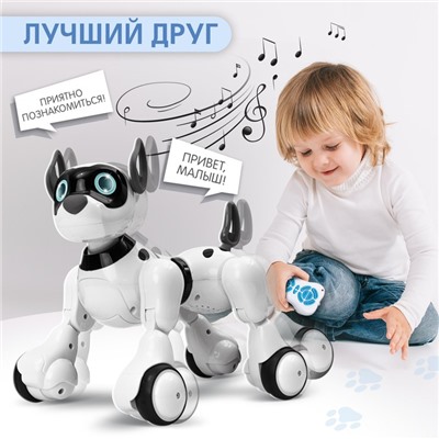 Робот радиоуправляемый «Собака Koddy», световые и звуковые эффекты, русская озвучка