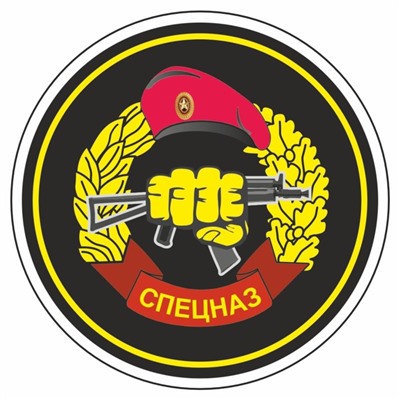Наклейка "Круг-Спецназ ВВ МВД", 90 х 90 мм