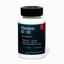 Витаминный комплекс для повышения иммунитета Vitaminize K2+D3, 120 таблеток по 0,7 г