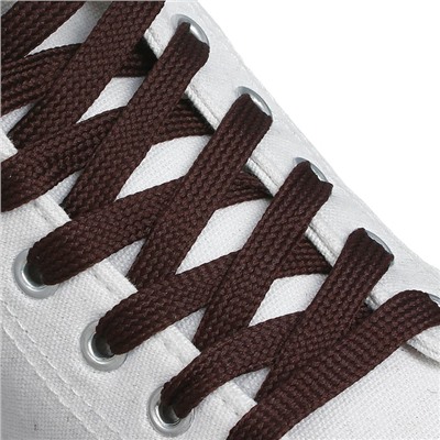 Шнурки для обуви, пара, плоские, 7 мм, 120 см, цвет коричневый