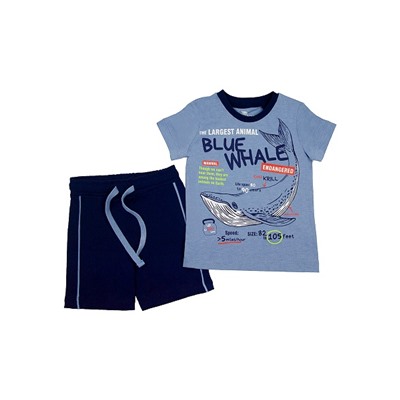 CSKB 90097-16-315 Комплект для мальчика (футболка, шорты),голубой меланж