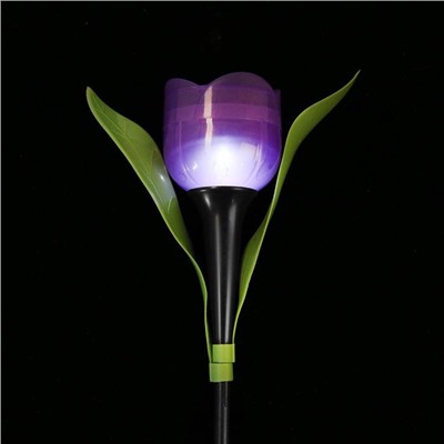 Фонарь садовый на солнечной батарее "Тюльпан фиолетовый" 30.5 см, d-5 см, 1 led, пластик