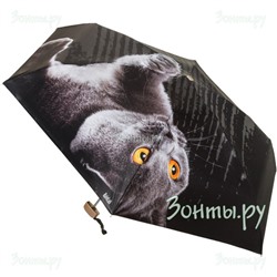 Мини зонт "Британский кот" Rainlab 087 MiniFlat