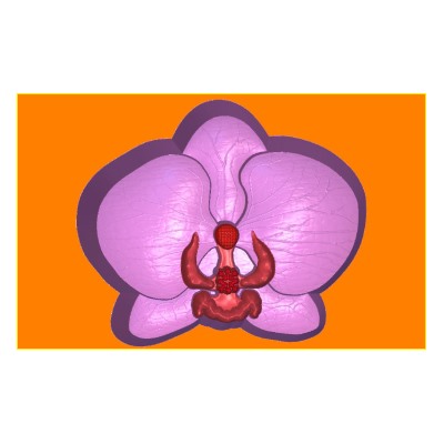Пластиковая форма - БП 418 - Орхидея
