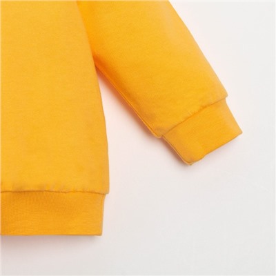 Комплект: джемпер и брюки Крошка Я "Dogs", рост 68-74 см, цвет оранжевый/белый