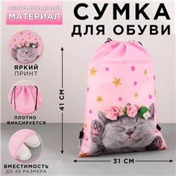 Мешок для обуви «Очаровательный котёнок»  нетканное полотно, размер 30 х 40 см