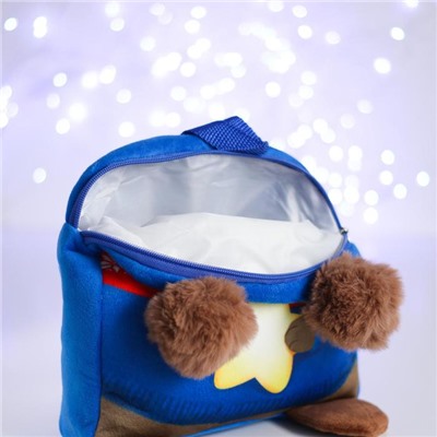 Рюкзак детский «Мишка со звездой», 24х24 см
