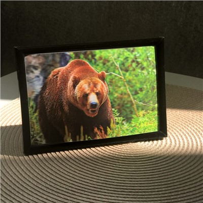 3Д картинка "Медведь в лесу" 9,5 х 14,5 см х М-0016, голографическая открытка с изображением медведя, без рамки