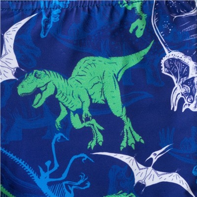 Плавки купальные для мальчика KAFTAN "Динозавры" рост 98-104 (30), цвет синий