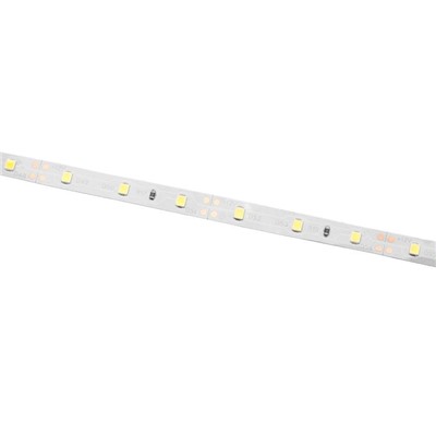 Светодиодная лента Ecola PRO, 12В, SMD3528, 5 м, IP20, 4.8Вт/м, 60 LED/м, 4200К