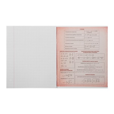 Тетрадь предметная "Неон", 48 листов в клетку "Алгебра", со справочным материалом, обложка мелованный картон, УФ-лак, блок офсет