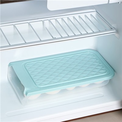 Контейнер для холодильника Доляна, 30×17×6,5 см, цвет МИКС