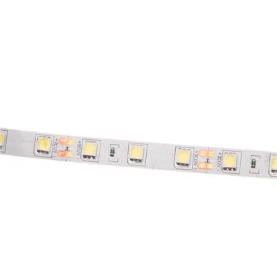 Светодиодная лента Ecola PRO, 12В, SMD5050, 5 м, IP20, 14.4Вт/м, 60 LED/м, 6000К