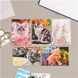 Карманный календарь "Коты - 1" 2023 год, 7х10см, МИКС