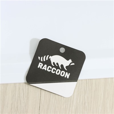 Щётка для пола с совком Raccoon: щётка 25×95, совок 26×25×94 см