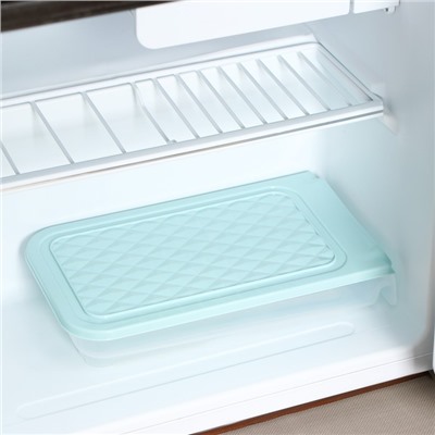 Контейнер для холодильника Доляна, 30×17×6,5 см, цвет МИКС