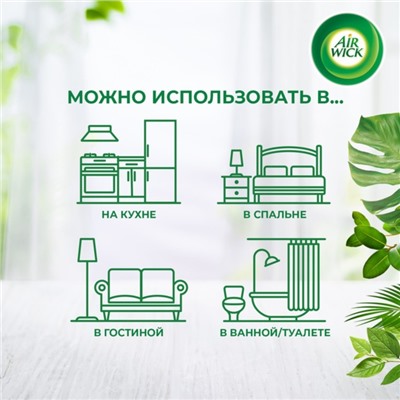 Сменный баллон Airwick Freshmatic PURE "Древесный Пачули и Эвкалипт ", 250 мл